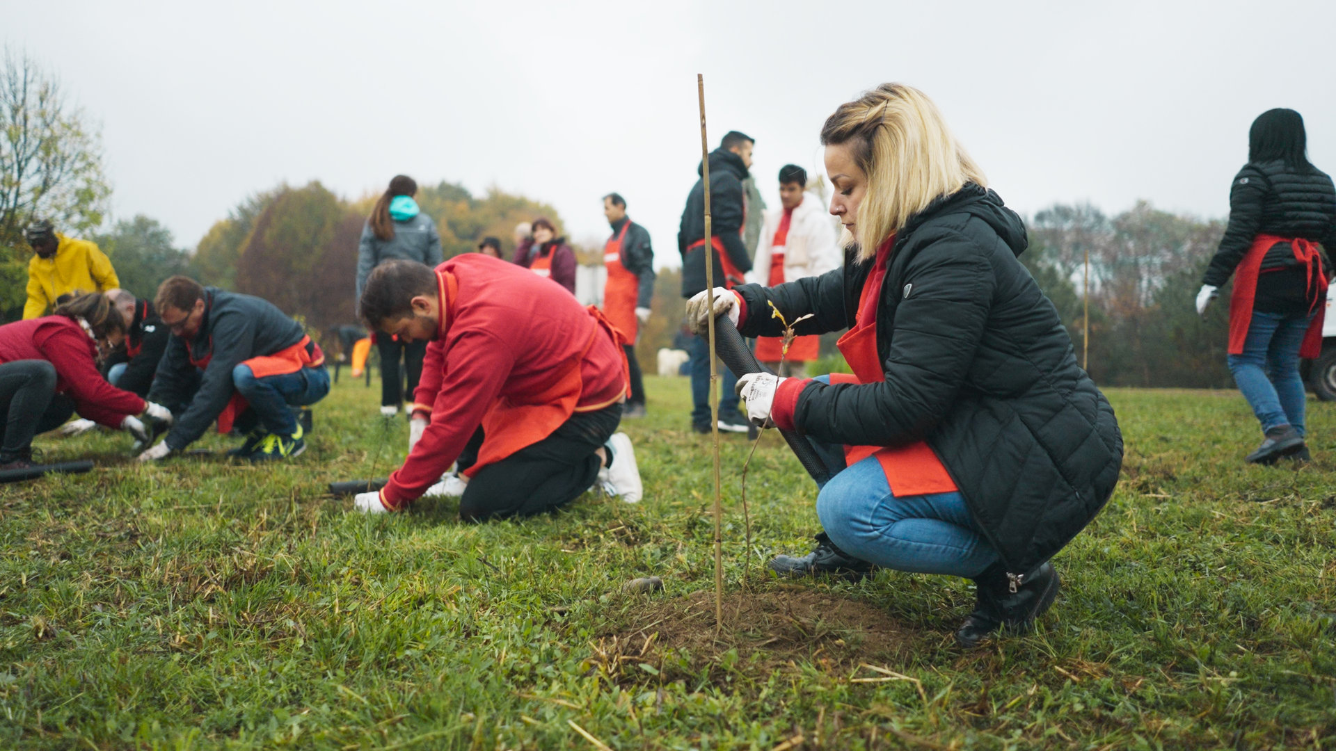 Nova Milanese, Monza Brianza